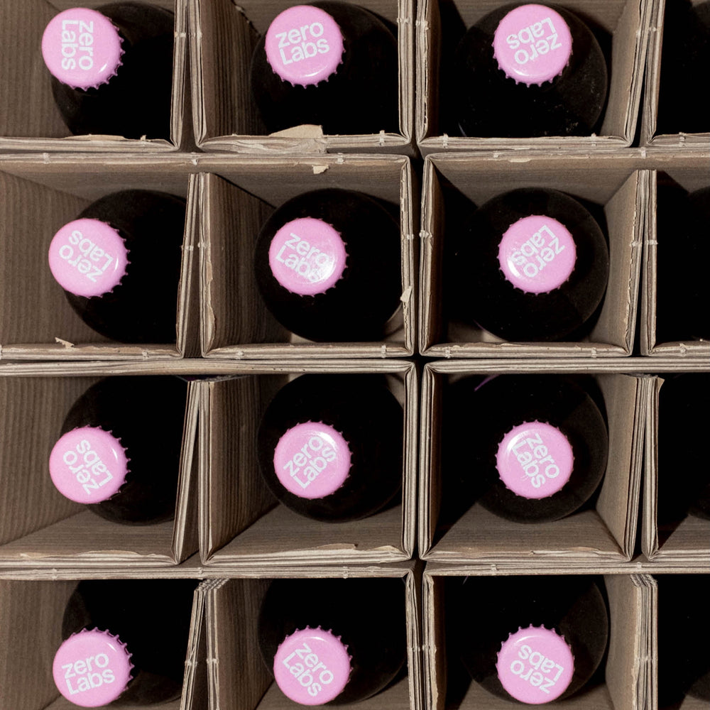 zeroLabs Future Pilsner – 24 Flaschen